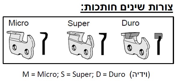 צורות שיניים חותכות