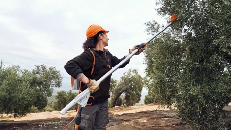 מנערת זיתים נטענת טלסקופית