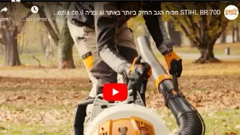 מפוח גב