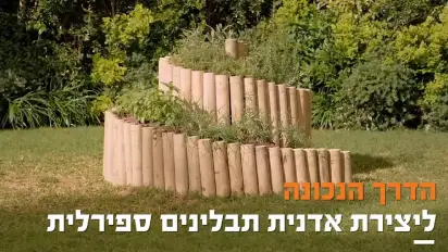 ערוגת תבלינים ספירלית