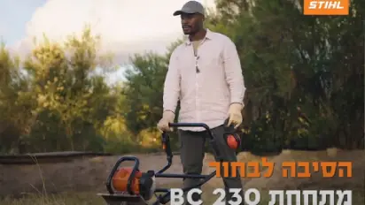 מתחחת מוטורית מקצועית