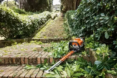 גוזמת גדר חיה של STIHL