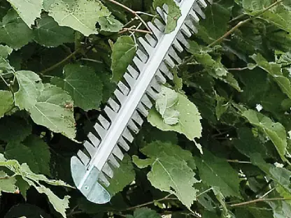 להב דו צדדי מגזמת