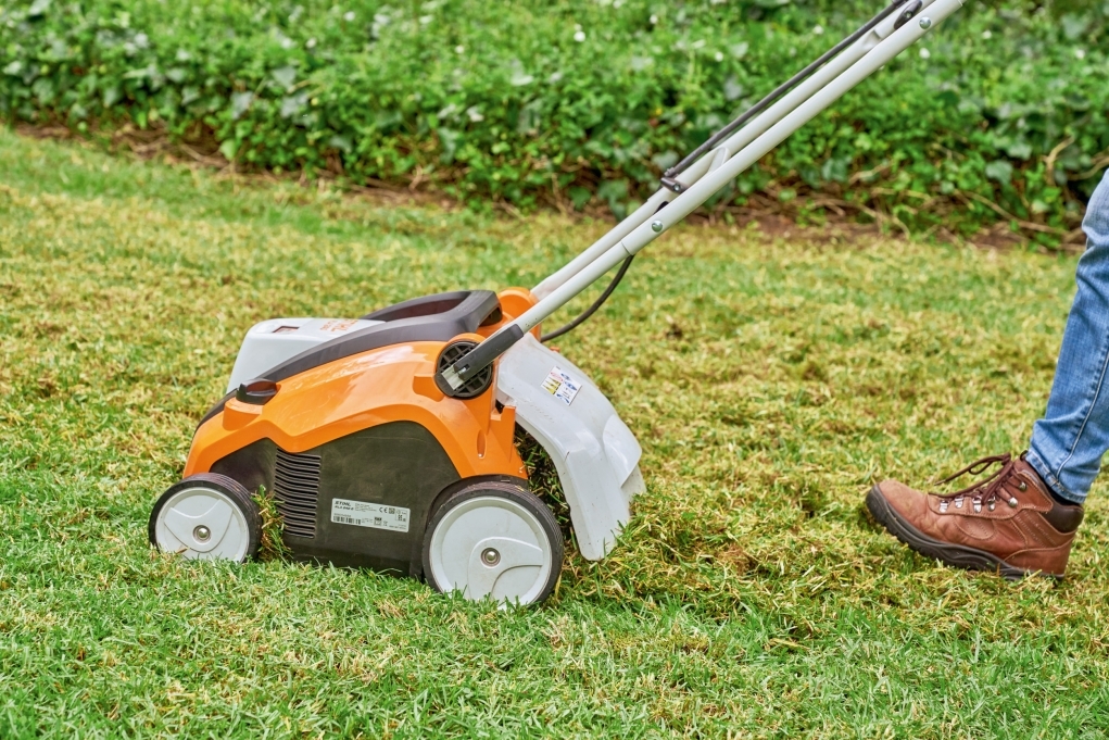 מדללת דשא נטענת