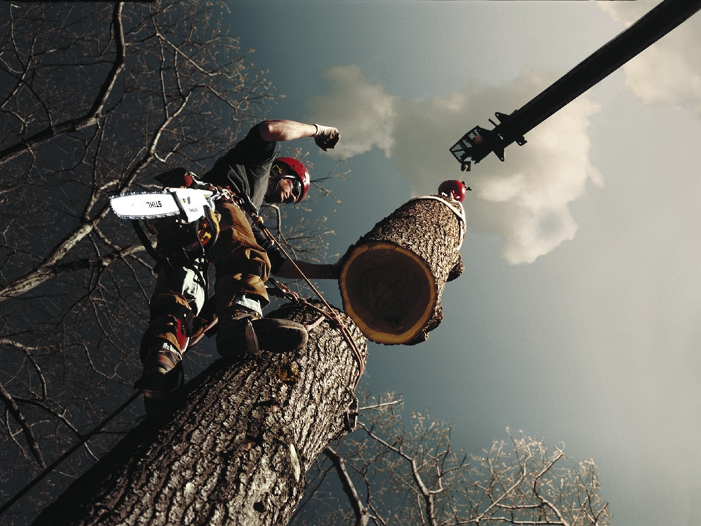 משור שרשרת MS-361