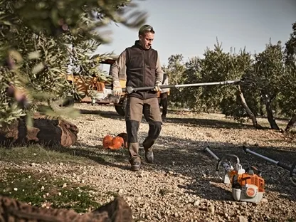 מסיק זיתים / שקדים
