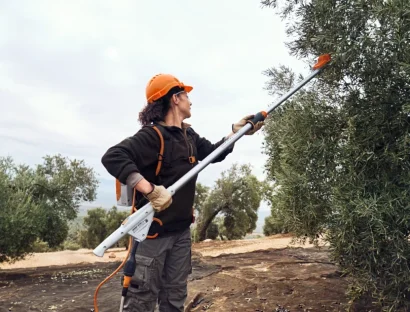 מנערת זיתים
