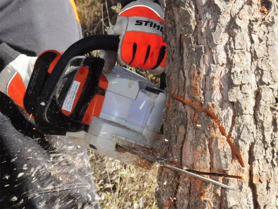 STIHL_11