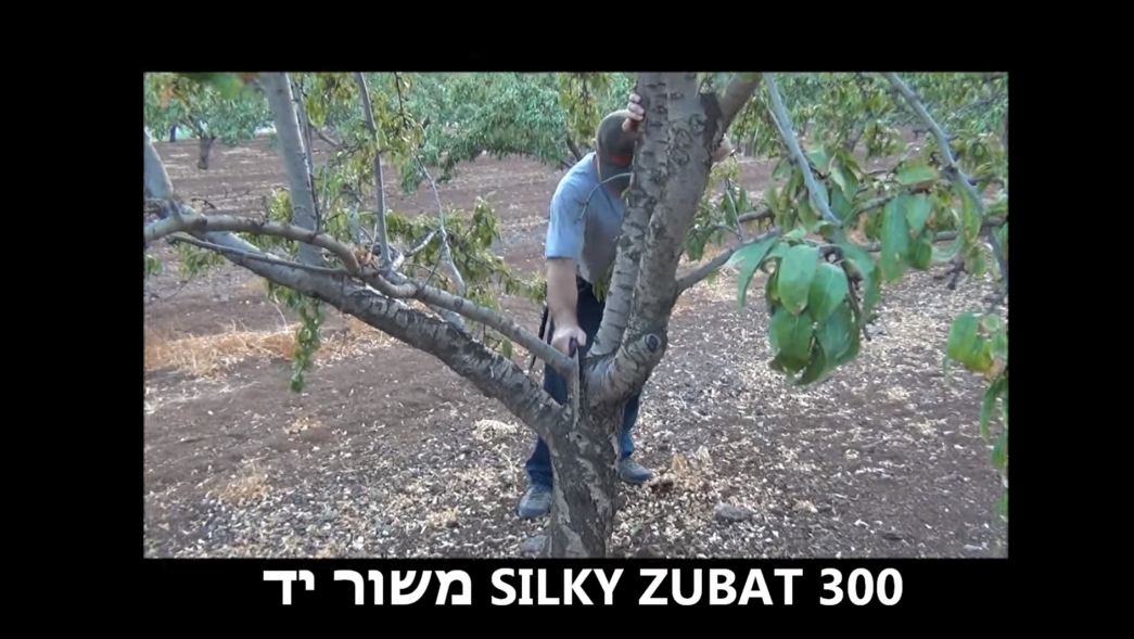 משור יד 300 zubat