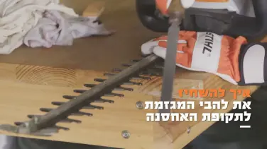 הדרכה: איך להשחיז נכון את להבי המגמזת לתקופת האחסנה