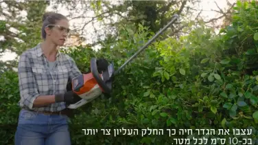 הדרכה לעיצוב וגיזום במגזמת