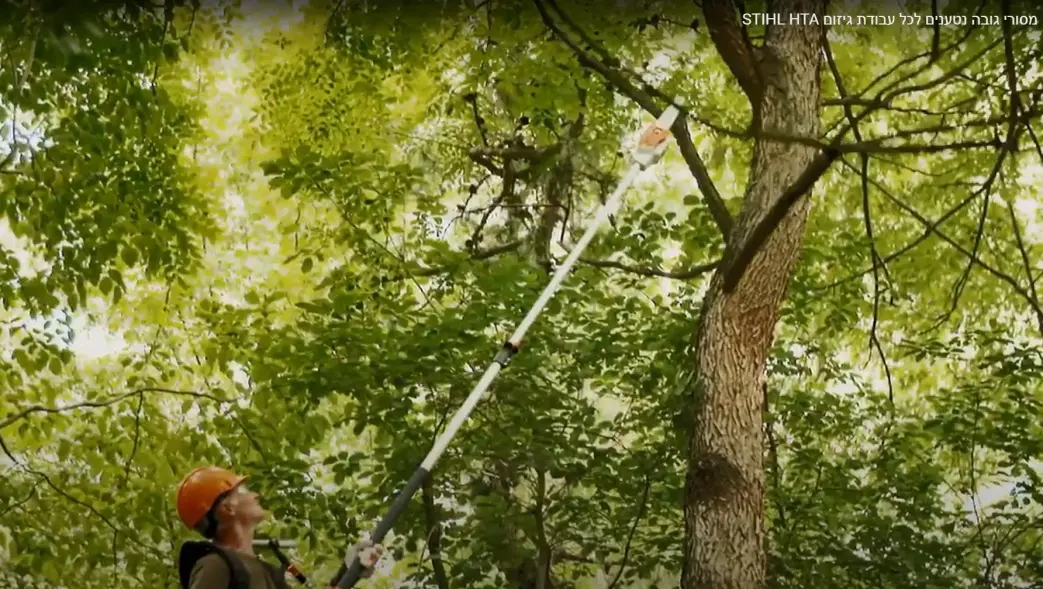 מסורי גובה נטענים לכל עבודת גיזום STIHL HTA