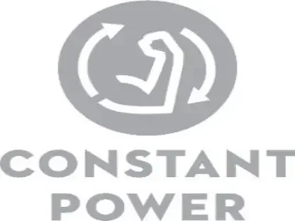 constant power stihl