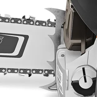 שיני נעיצה